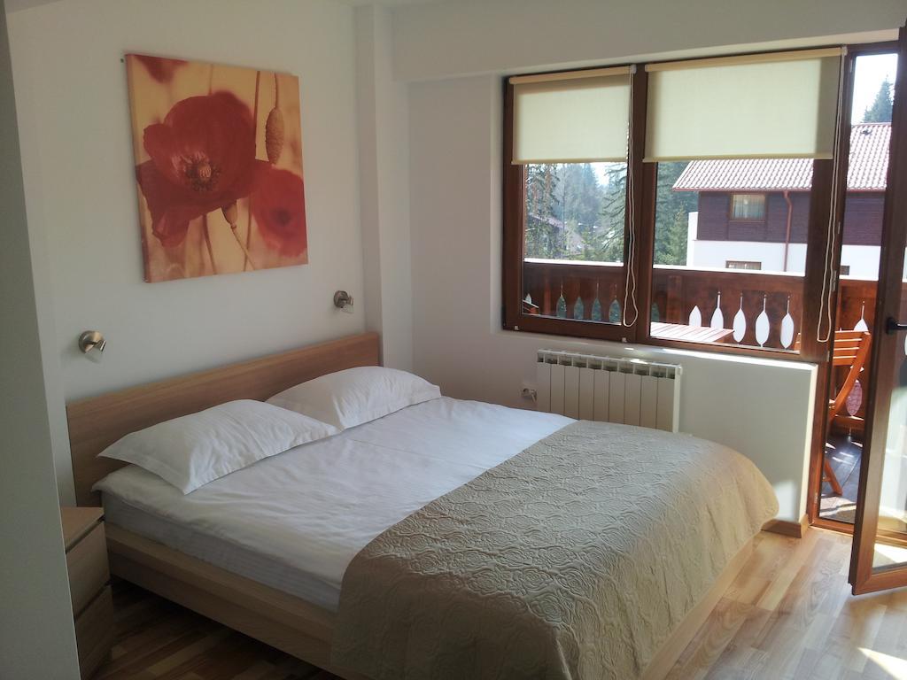 Studio Montana Poiana Brasov Exterior photo